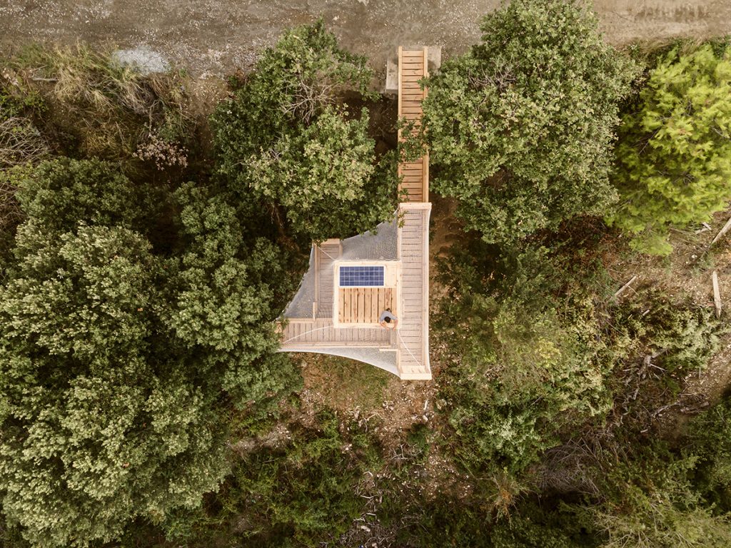 FLORA. Observatorul din inima pădurii