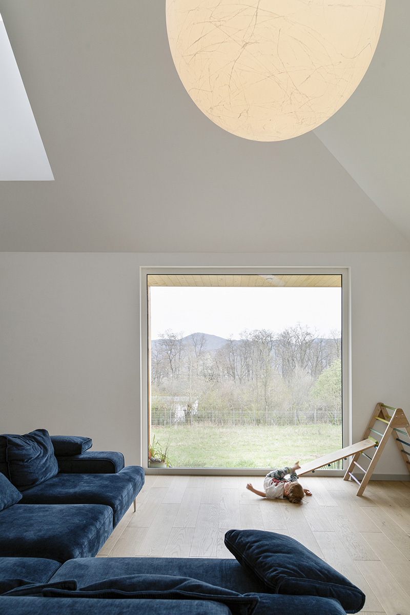 Interviuri Biophilic Design: Vinklu