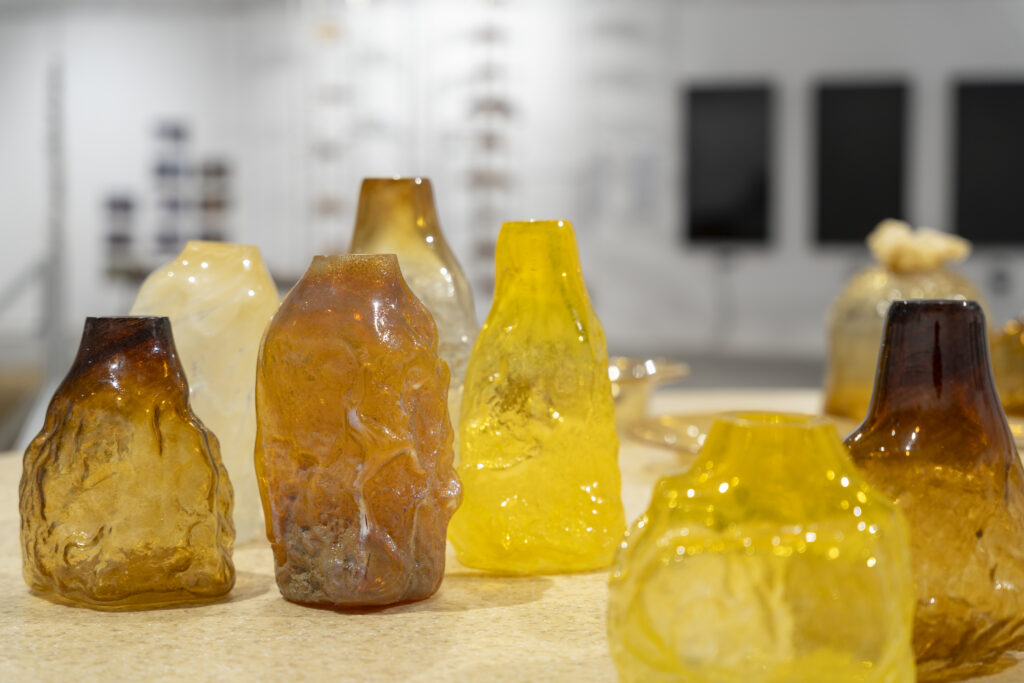 De la prețul grâului la pâine: expoziția Cinci hectare explorează agricultura României prin design