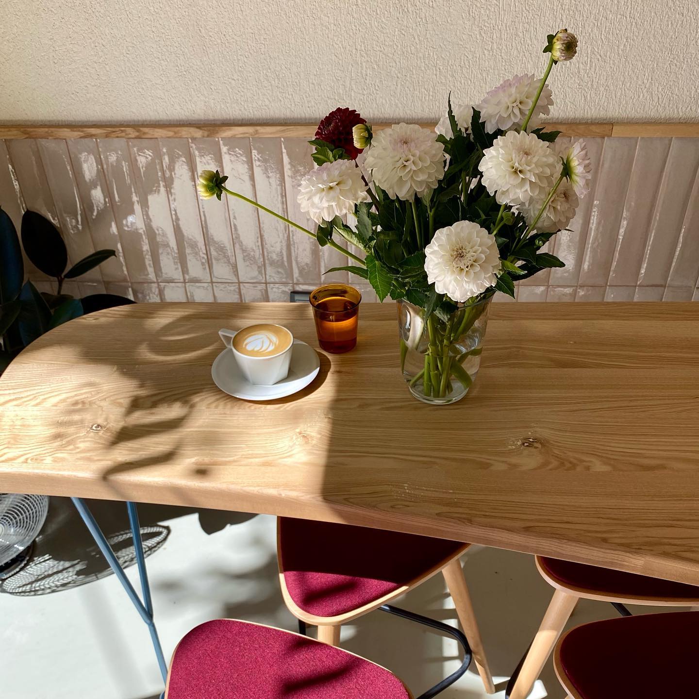 Común cafe, o cafea la Timișoara