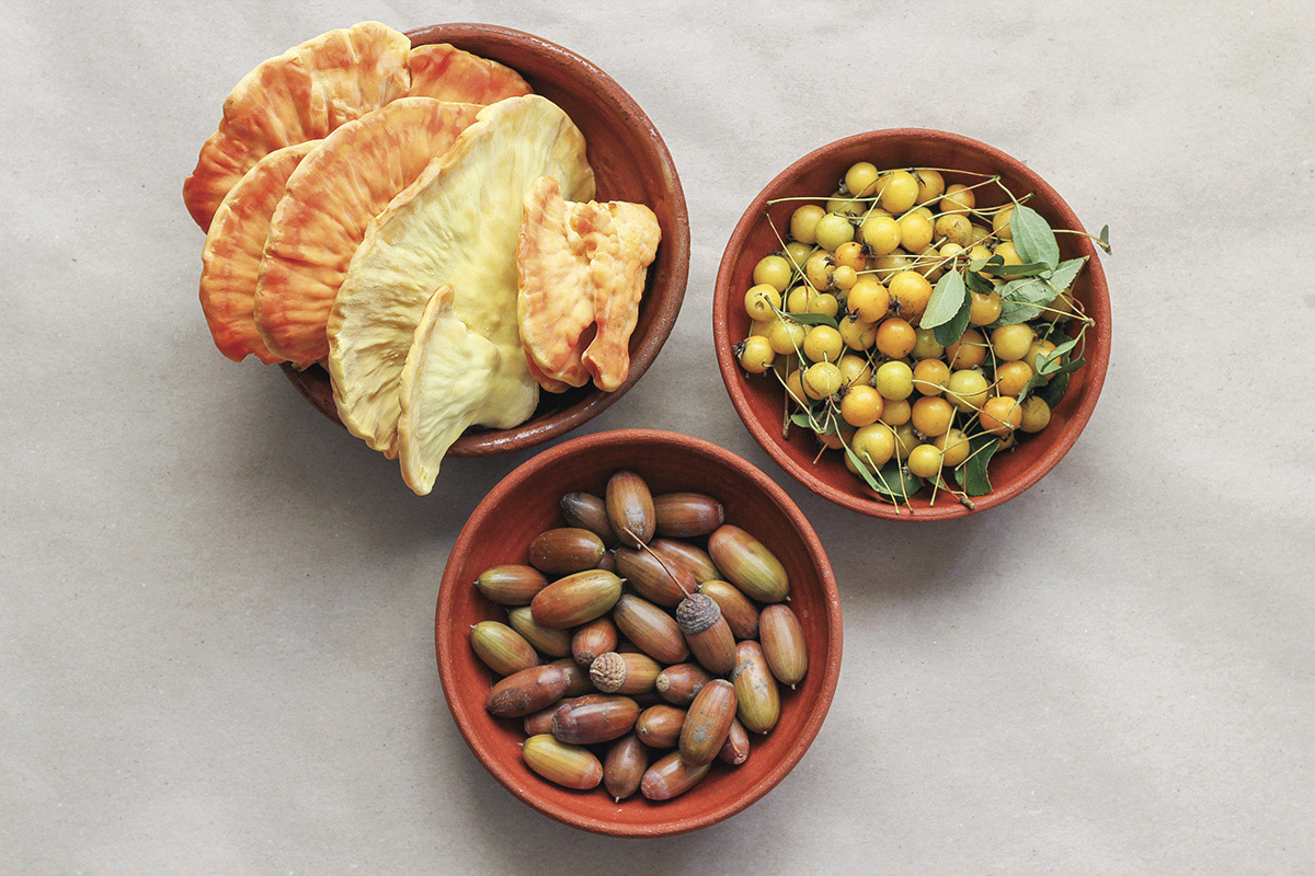 Ierburi Uitate. În dialog cu Mona Petre: „Gătește cu ce ai la îndemână, local, sezonier. Nu urma rețetele la literă.”