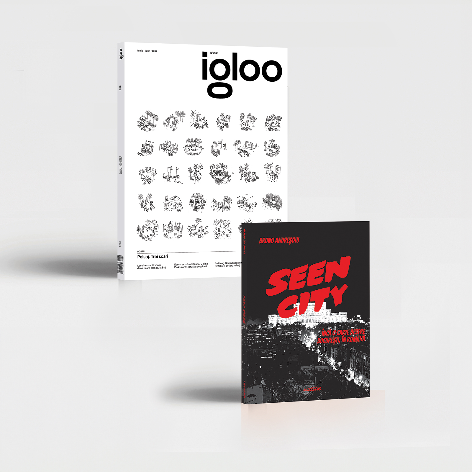 igloo 232 + Seen City de Bruno Andreșoiu