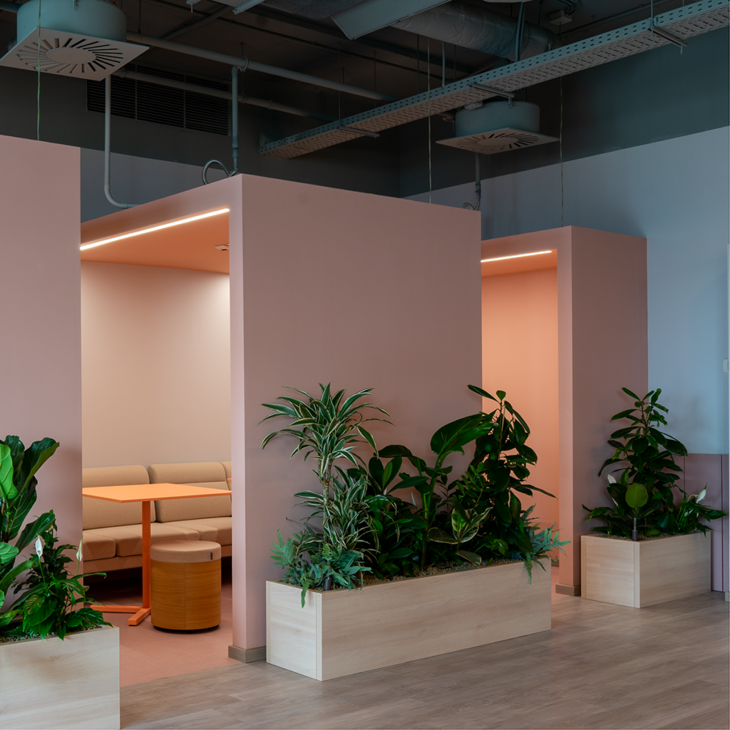 The Access Group Timișoara: Dincolo de convențiile biroului corporativ