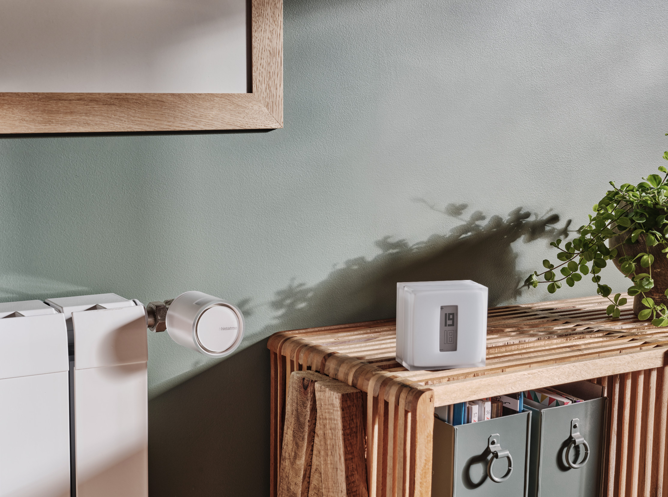 igloo likes. Un altfel de bazar pentru pasionații de design