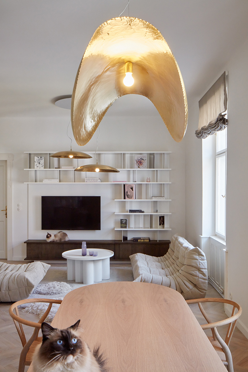Metamorfoza unui apartament de la începutul secolului 20