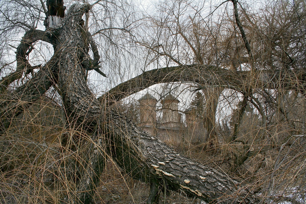 Mănăstirea Snagov