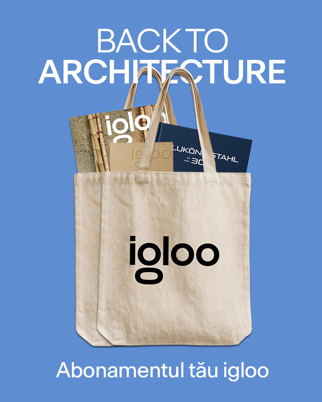 Noul igloo 228 ▪️ Adaptive reuse: arhitectura transformării
