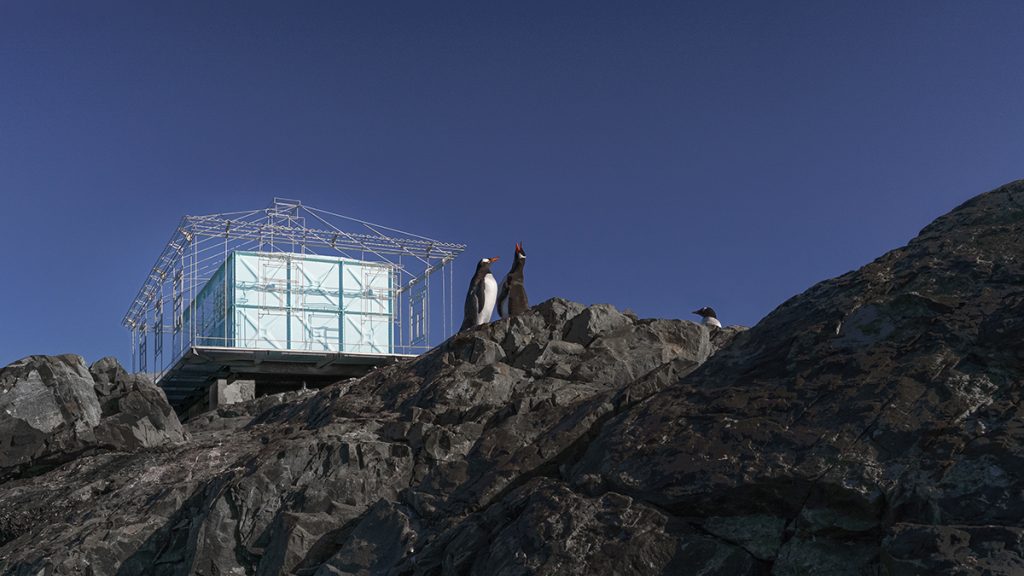 Amintirea unui cămin devastat într-un ținut de gheață. Instalație de artă pentru stația de cercetare din Antarctica a Ucrainei
