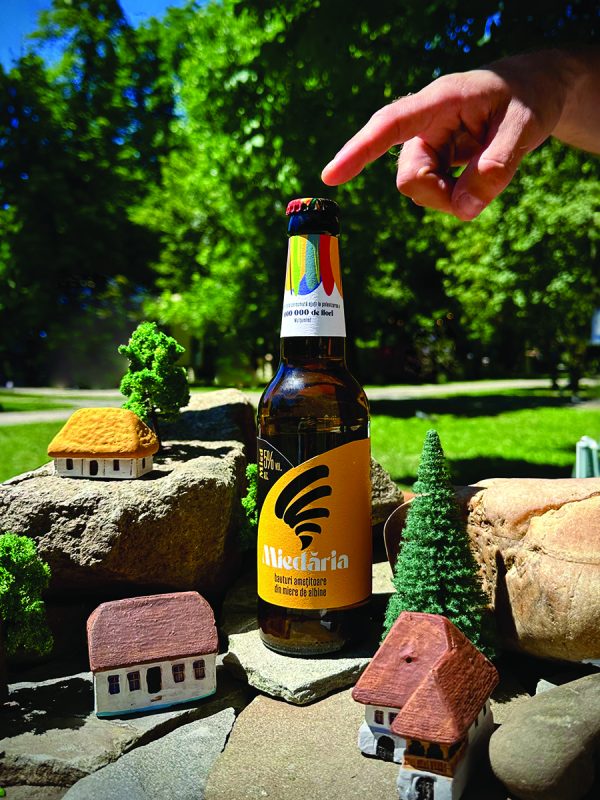 _princ_VALEA IN MINIATURA