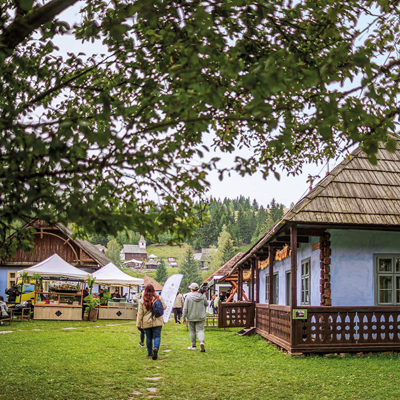 Taste of Transylvania: o celebrare a gusturilor
