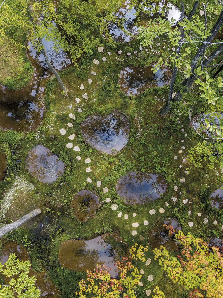 Dosar #214. Art Biotop Water Garden: natură creată în timp