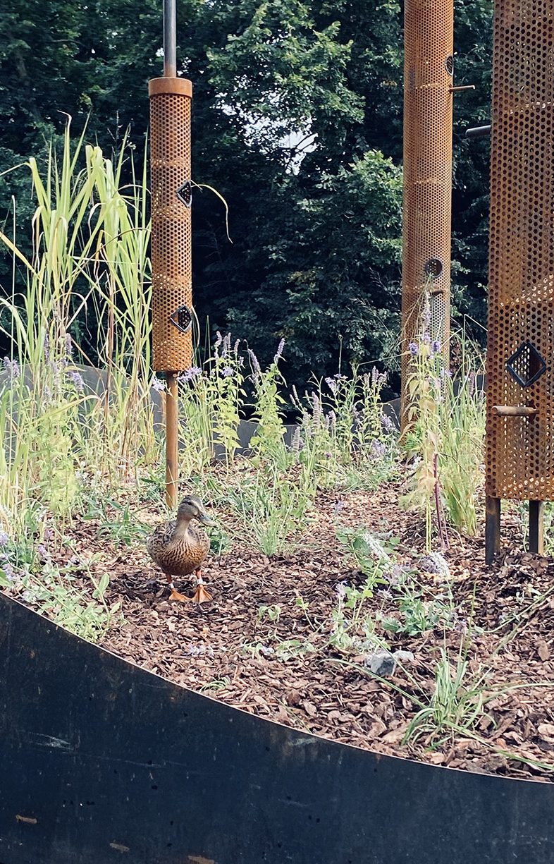 Un palat pentru păsări într-un parc din Amsterdam