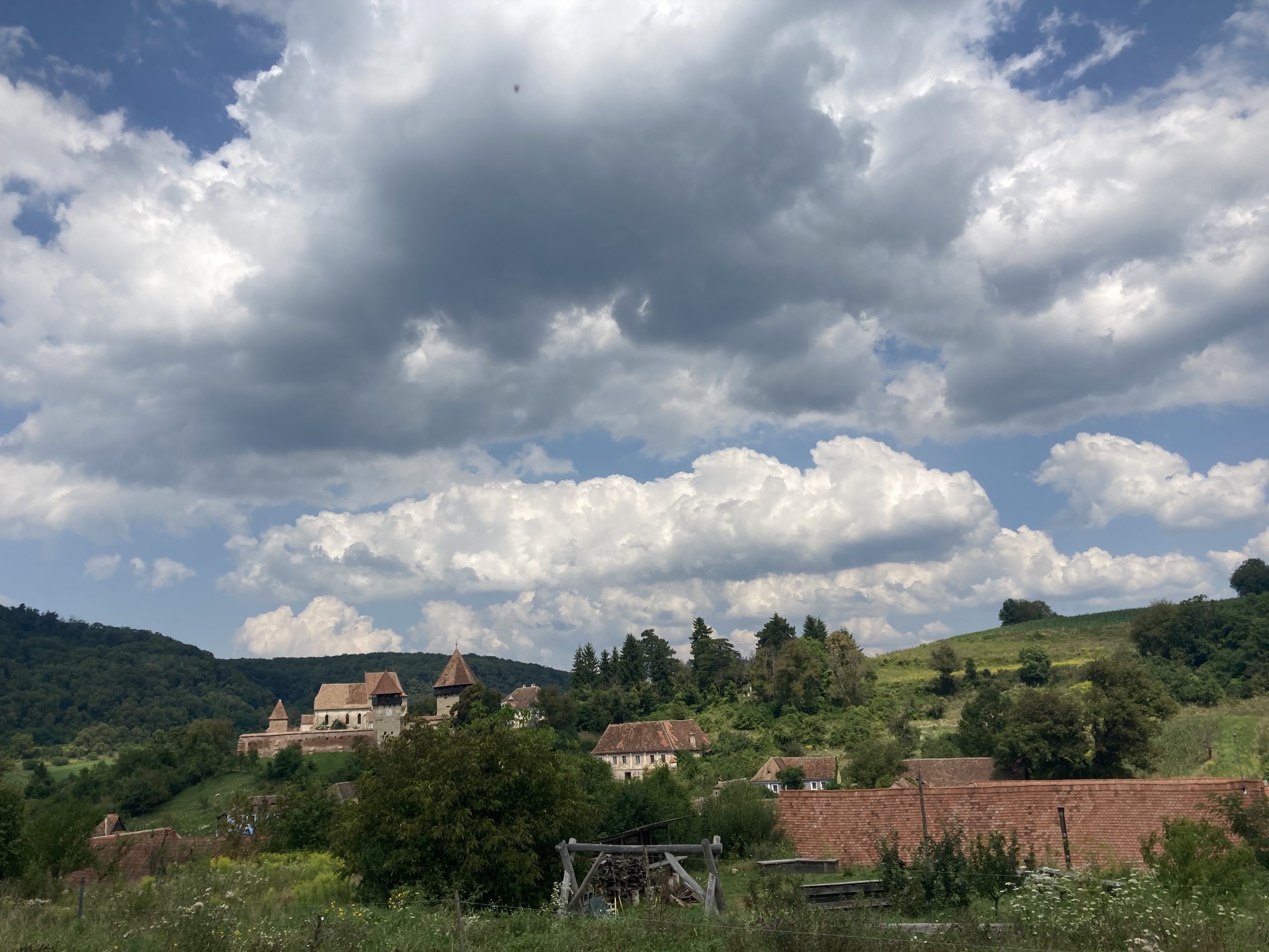 Weekend în Alma Vii