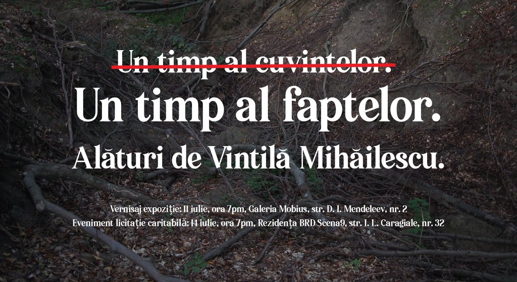 Un timp al faptelor, alături de Vintilă Mihăilescu: expoziție cu licitație caritabilă